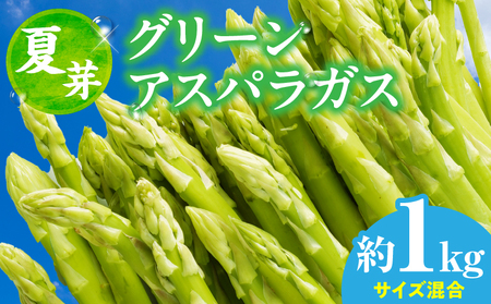 [夏芽]グリーンアスパラガス サイズ混合約1kg アスパラ | グリーンアスパラガス アスパラガス アスパラ 夏芽 おすすめ 混合 シャキシャキ 野菜 冷蔵 新鮮 新鮮野菜 香川県 国産 三木町 おすすめ |_mk006-003