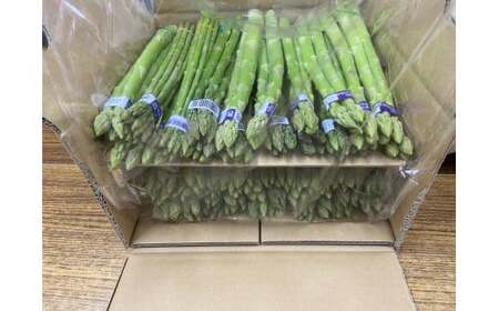 [夏芽]グリーンアスパラガス サイズ混合約5kg_mk006-004