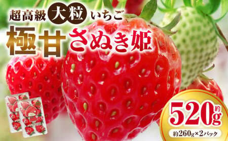 嗱@ɊÂʂP260g×2pbN(nbNg[) |  嗱  ʂP ʕ t[c  { C`S G {̉ʕ Mtg pbN ʎ 蕨 fU[g lC 