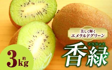 LECt[c()@3.0kg | LEC t[c ʕ { {̉ʕ LECt[c fU[g NHi 蕨    lC Mtg O Yi ʓ G G߂̉ʕ 쌧