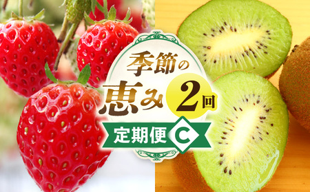 G߂̌b2C | ʕ XC[c t[c fU[g {̉ʕ {̃t[c {  ʕ {̃t[c t[c  I LEC C`S J 蕨  M