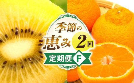 G߂̌b2F | ʕ t[c  ʕ t[c { {̉ʕ {̒ XC[c fU[g S[hLEC fR| LECt[c Mtg 蕨  J