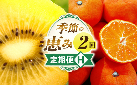 G߂̌b2H | ʕ t[c  ʕ t[c ʎ { {̉ʕ {̃t[c {̉ʕ {̒ fU[g XC[c ʏ` J  蕨 LEC S