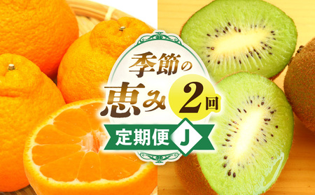 G߂̌b2J | ʕ {̉ʕ ʕ {̃t[c t[c t[c   ʏ` ʎ fU[g XC[c Mtg 蕨  Mtg lC  I fR|