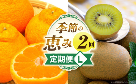 G߂̌b2L | ʕ t[c  ʕ t[c {̉ʕ {̒ {̃t[c  {̉ʕ  lC  I Mtg  蕨 J f