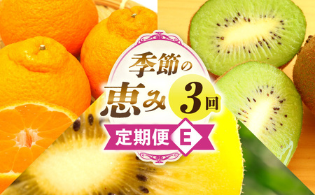 G߂̌b3E | ʕ t[c  ʕ fU[g XC[c ʎ { G {̉ʕ G߂̉ʕ NHi N  蕨 Mtg v[g  j j J l