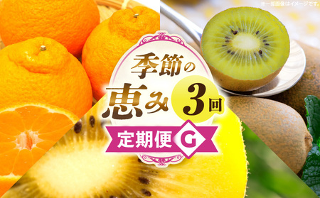 G߂̌b3G | ʕ t[c  ʕ fU[g XC[c ʎ { G {̉ʕ G߂̉ʕ NHi N  蕨 Mtg v[g  j j J l