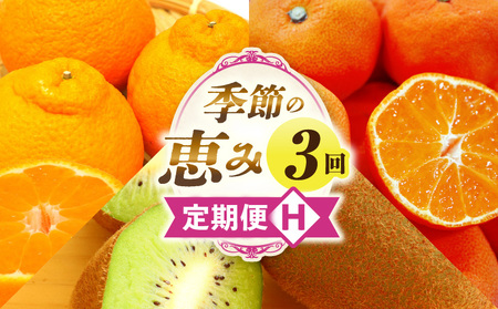 G߂̌b3H | ʕ t[c  ʕ fU[g XC[c ʎ { G {̉ʕ G߂̉ʕ NHi N  蕨 Mtg v[g  j j J l