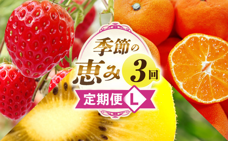 G߂̌b3L | ʕ t[c  ʕ fU[g XC[c ʎ { G {̉ʕ G߂̉ʕ NHi N  蕨 Mtg v[g  j j J l