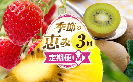 G߂̌b3M | ʕ t[c  ʕ fU[g XC[c ʎ { G {̉ʕ G߂̉ʕ NHi N  蕨 Mtg v[g  j j J l