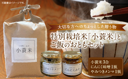 特別栽培米「小蓑米」と ご飯のおとも(にんにく味噌とやみつきメンマセット)_mk156-001