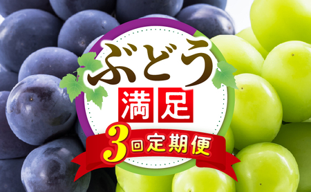 ぶどう満足 3回定期便 