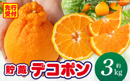 貯蔵デコポン約3kg(8〜16玉)[香川県共通返礼品] 