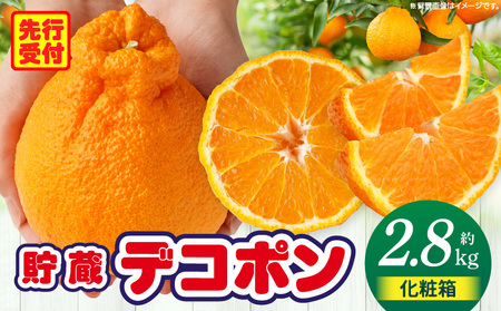 fR|2.8kgϔ(7`12)y쌧ʕԗiz | fR| Â _ k kn ʕ t[c  fU[g O   蕨 p Mtg v[g Yi Y