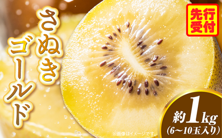 香川県オリジナルキウイフルーツ「さぬきゴールド」約1kg(6-10玉)[香川県共通返礼品] 