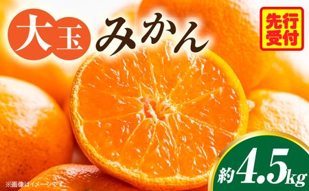 大玉みかん約4.5kg | 大玉みかん 大玉 みかん ミカン 蜜柑 オレンジ 柑橘 柑橘系 果物 フルーツ 青果 おすすめ お取り寄せ ギフト 香川県 三木町 |_mk006-055