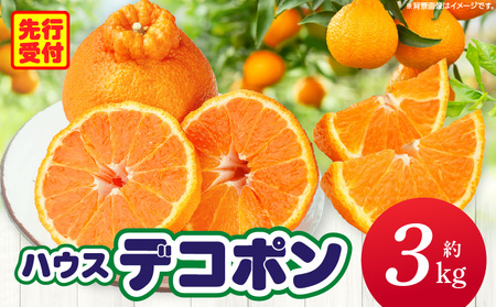 ハウスデコポン約3kg(8-16玉)[香川県共通返礼品] 