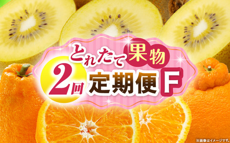 とれたて果物 2回定期便F |果物 フルーツ 果物定期便 フルーツ定期便 定期便キウイ デコポン 濃厚 旬の果物 定期 人気 おすすめ 贈答 贈り物 青果物 糖度 香川県 |_mk165-t056