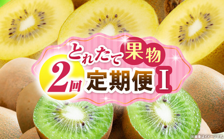 Ƃꂽĉʕ 2I |ʕ t[c ʕ t[c փLECZ {̉ʕ  lC   蕨 ʕ x 쌧 |_mk165-t059