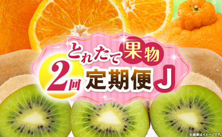 とれたて果物 2回定期便J |果物 フルーツ 果物定期便 フルーツ定期便 定期便キウイ デコポン濃厚 旬の果物 定期 人気 おすすめ 贈答 贈り物 青果物 糖度 香川県 |_mk165-t060