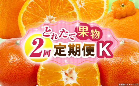 とれたて果物 2回定期便K |果物 フルーツ 果物定期便 フルーツ定期便 定期便 デコポンみかん 濃厚 旬の果物 定期 人気 おすすめ 贈答 贈り物 青果物 糖度 香川県 |_mk165-t061