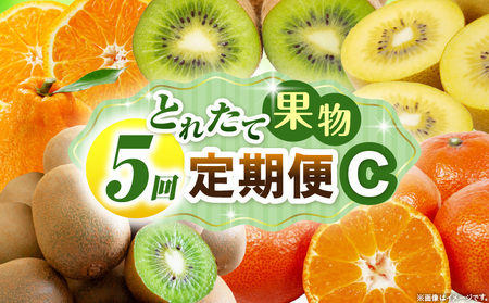 とれたて果物 5回定期便C |果物 フルーツ 果物定期便 フルーツ定期便 定期便キウイ デコポンみかん 濃厚 旬の果物 定期 人気 おすすめ 贈答 贈り物 青果物 糖度 香川県 |_mk165-t082