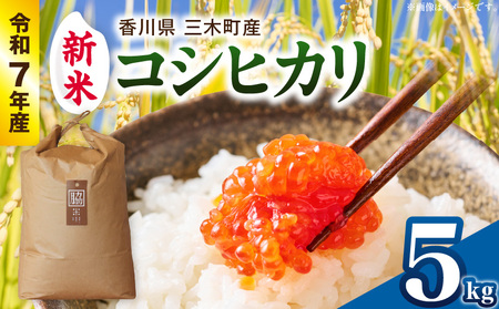 [令和7年産]香川県三木町産コシヒカリ5kg ≪IDOMALLセレクト≫ 