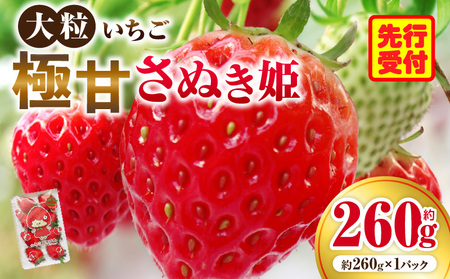 大粒いちご 極甘さぬき姫 約260g | 果物 フルーツ いちご フレッシュ ジューシー 香り 爽やか 春 真っ赤 旬の果物 人気 おすすめ 贈答 贈り物 青果物 糖度 香川県 三木町 |_mk165-015