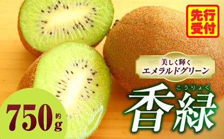 キウイ 美しい緑が鮮やかな 香緑 約750g | 果物 フルーツ 香緑 こうりょく キウイ グリーン フレッシュ ジューシー 香り 爽やか 旬の果物 人気 おすすめ 贈答 贈り物 青果物 糖度 香川県 三木町 |_mk165-018