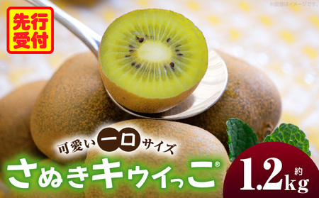 こつぶでちゅるん さぬきキウイっこ 約1.2kg 