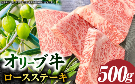 yOؒYzI[u[XXe[L 500g×1i2s[XjbY Y  I[u Iׂe  500g uh [X Xe[L   Ⓚ  蕨 쌧 Oؒ