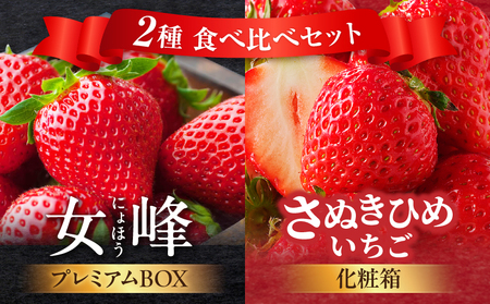 [数量限定]厳選いちご2種 食べ比べセット 