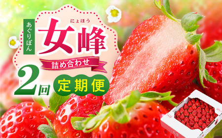 あぐりぼん「女峰」詰め合わせ 2回定期便 