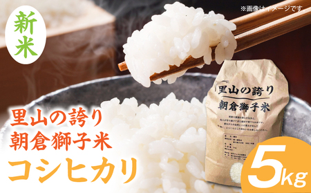 [数量限定][令和7年度産]里山の誇り 朝倉獅子米 コシヒカリ 5kg 
