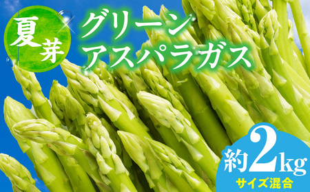 【先行受付】【夏芽】グリーンアスパラガス サイズ混合約2kg（1kg×2箱） | グリーンアスパラガス アスパラガス アスパラ 夏芽 おすすめ 混合 シャキシャキ 野菜 冷蔵 新鮮 新鮮野菜 香川県 国産 三木町 おすすめ |_mk006-005