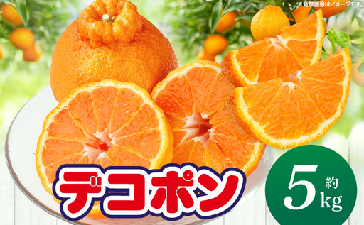 [先行予約][期間限定!]甘みと酸味の共演・濃厚「デコポン」約5kg[香川県共通返礼品] 