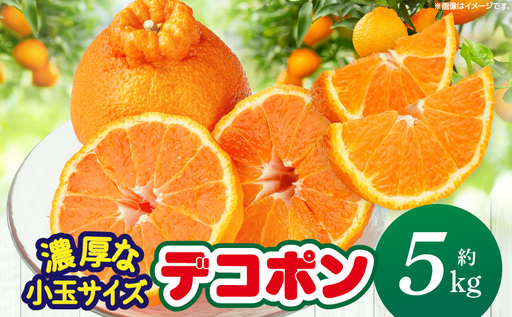 [先行予約][期間限定!]甘みと酸味の共演・濃厚「デコポン」(濃厚な小玉サイズ)約5kg[香川県共通返礼品] 