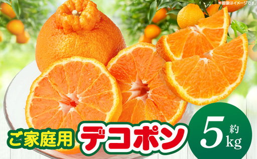 [先行予約][期間限定!]甘みと酸味の共演・濃厚「デコポン」(ご家庭用)約5kg[香川県共通返礼品] 