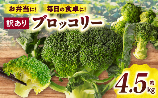 訳ありブロッコリー 約4.5kg | ブロッコリー 野菜 食材 サラダ 料理 大きい 新鮮 生野菜 生鮮食品 栄養価が高い ご家庭用 生産者応援 冷蔵 おすすめ 香川県 三木町 |_mk006-093