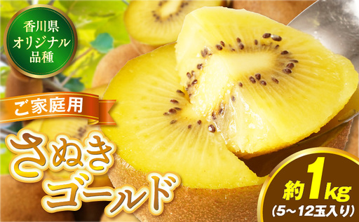 ご家庭用さぬきゴールドキウイ約1kg[香川県共通返礼品] 
