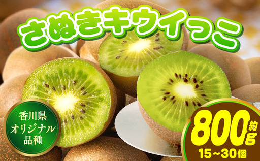 小さくて可愛らしいキウイ さぬきキウイっこ約800g 