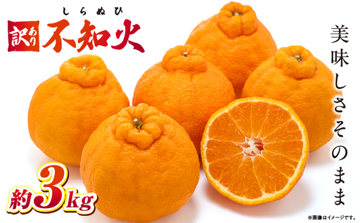 [先行予約]訳あり不知火約3kg[香川県共通返礼品] | 果物 フルーツ 不知火 しらぬい フレッシュ ジューシー 香り 爽やか 旬の果物 人気 おすすめ 訳あり 生産者応援 青果物 糖度 香川県 三木町 |_ mk006-112