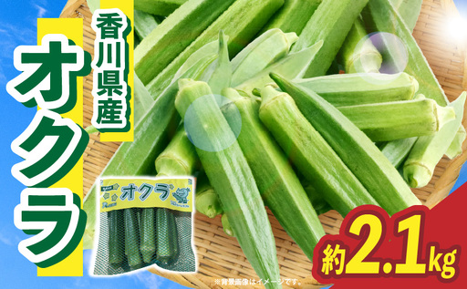 【先行予約】オクラ 約2.1kg |オクラ 野菜 ネバネバ 旬の野菜 旬 季節の野菜 季節 贈答 贈り物 ギフト プレゼント おすそ分け グルメ お取り寄せ 人気 おすすめ 特産 特産品 生鮮食品 香川県 三木町 |_mk006-123