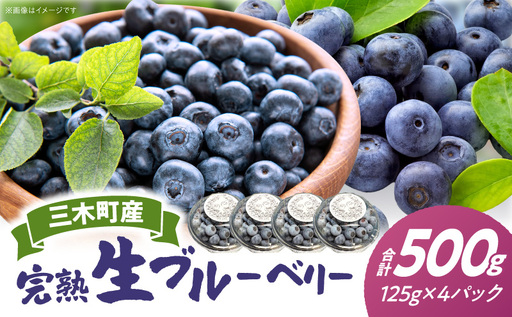 完熟生ブルーベリー約500g|生ブルーベリー 完熟 フルーツ 眼に良い フレッシュ ジューシー 香り 旬の果物 香川県 三木町 |_mk173-005
