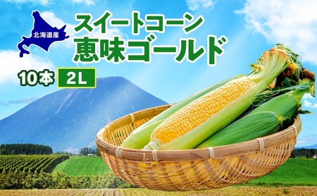 北海道産 スイート コーン めぐみゴールド 2Lサイズ 10本 先行受付 8月上旬〜末頃にお届け とうもろこし 恵味 めぐみ トウモロコシ 旬 完熟 朝もぎ 野菜 産地直送 お取り寄せ 北海道 丸田農園 送料無料 洞爺湖