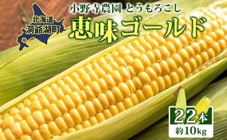 北海道 とうもろこし 恵味ゴールド 約10kg 22本入り 2025年8月11日〜31日頃お届け トウモロコシ コーン 甘い 産地直送 BBQ とうきび 国産 人気 バーベキュー 焼きとうもろこし お取り寄せ 北海道産 洞爺湖町