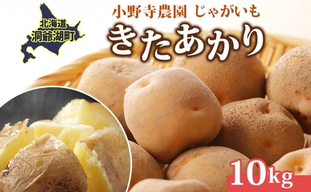 じゃがいも きたあかり 10kg 10月初旬〜12月中旬お届け 栗じゃがいも ホクホク 甘い ポテトサラダ コロッケ 産地直送 お取り寄せ 国産 小野寺農園 北海道 洞爺湖町