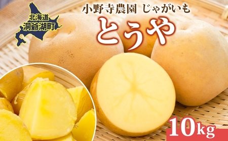 じゃがいも とうや 10kg 10月初旬〜12月中旬ごろお届け ホクホク 甘い ポテトサラダ コロッケ 産地直送 お取り寄せ 国産 小野寺農園 北海道 洞爺湖町