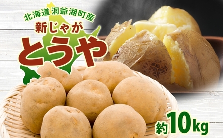 北海道 洞爺湖町産 新じゃがいも とうや 約10kg Mサイズ以上混載 北海道産 新じゃが じゃがいも いも ジャガイモ 馬鈴薯 黄爵 芋 旬 野菜 農作物 送料無料 産地直送 常温 洞爺湖町