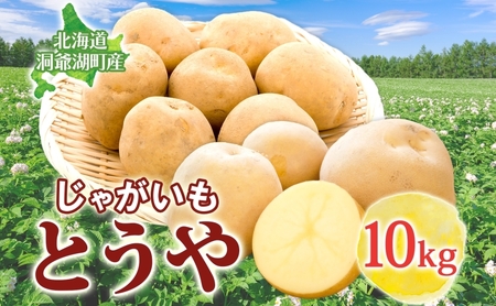 じゃがいも とうや 10kg 9月上旬〜12月中旬までお届け ジャガイモ 芋 甘い なめらか しっとり ポタージュ カレー 調理 料理 煮込み料理 旬 季節 農作物 野菜 根菜 北海道 とうや湖農業協同組合